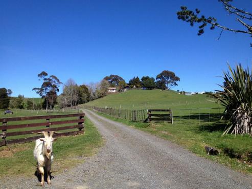 42A Reed Road, Hunua