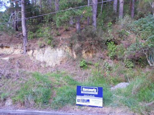 161 Pinehaven Road, Pinehaven