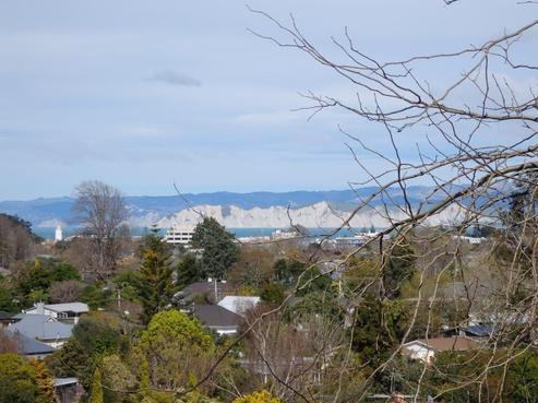 31 Richardson Avenue, Whataupoko