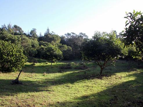 331 Trig Road, Houhora