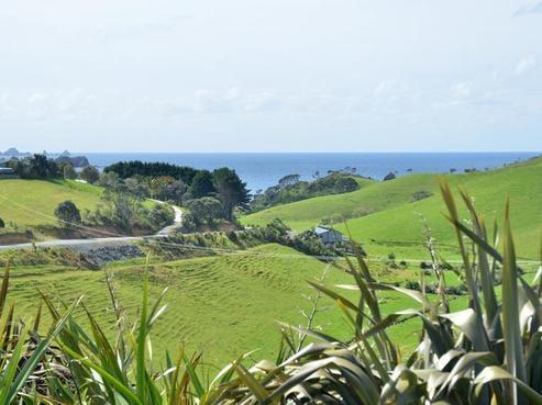 115 Rockell Road, Whananaki