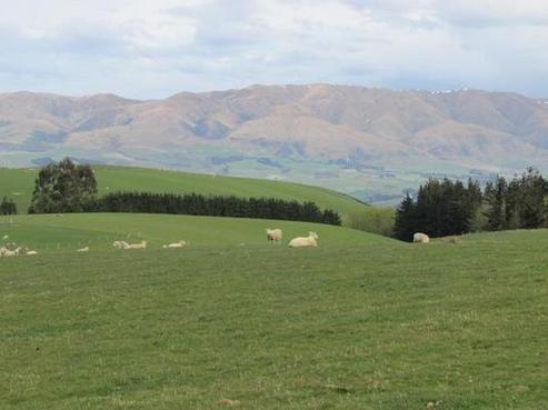 820 Spur Road, Fairlie
