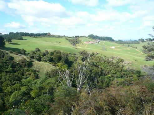 349 Pinnacle Hill Road, Mangatawhiri