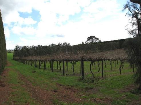230E Waipapa Block Road, Whakamarama