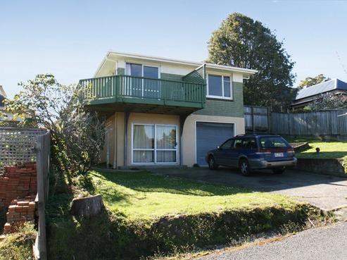 72 Craigleith Street, North East Valley