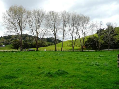 1988 Whananaki North Road, Whananaki