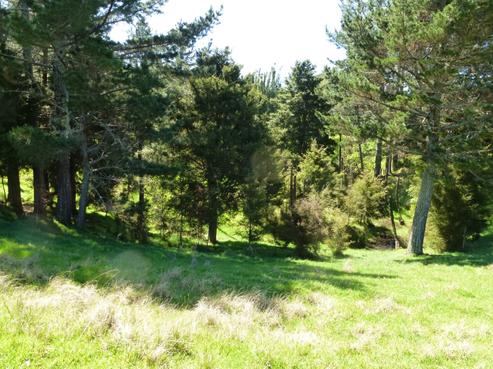 4 Koranae Road, Kerikeri Surrounds