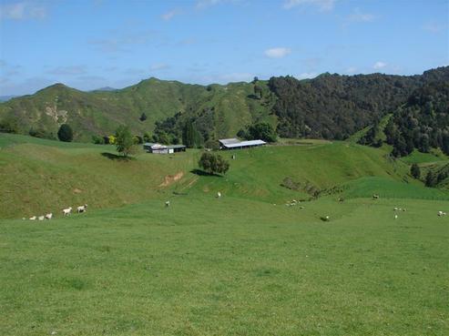 808 Roto Road, Ohura