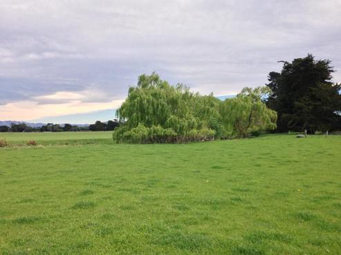 314 Glenmark Drive, Waipara