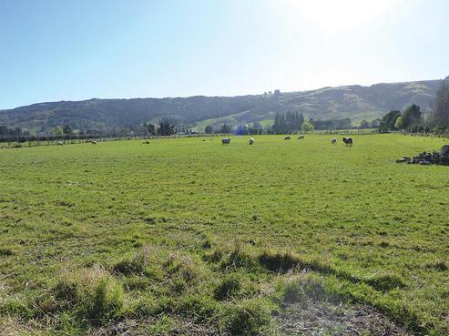 482 Riccarton Road West, North Taieri