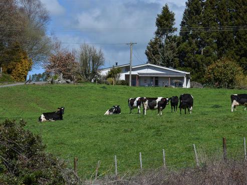 1557 State Highway 30, Horohoro