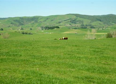 152 Pukemapou Road, Maihiihi
