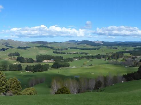 164 Motukai Road, Wainuioru