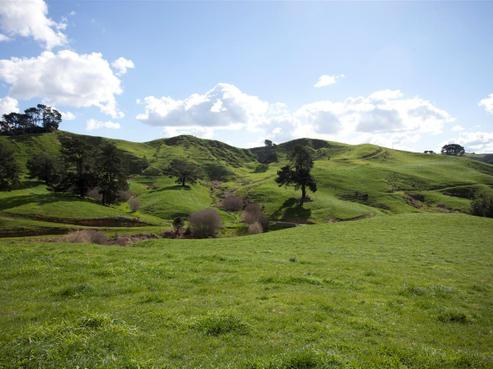 367 Oreipunga Road, Pukeatua