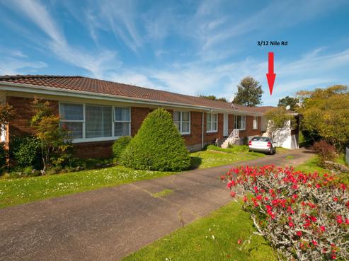3/12 Nile Road, Milford