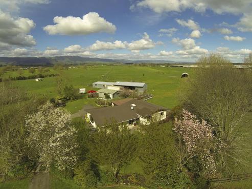 98 Tower Road, Matamata