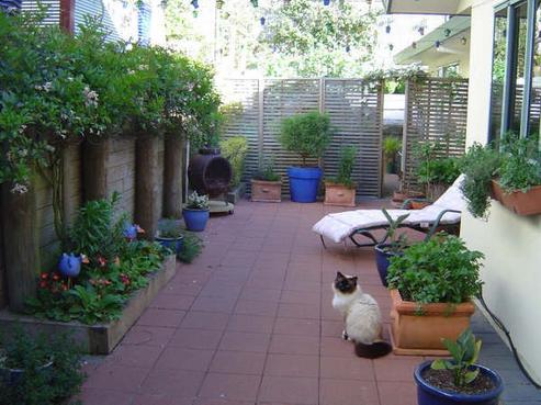 1/68 Ngamotu Road, Hilltop