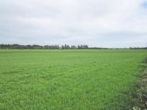 165 Pooles Road, Leeston
