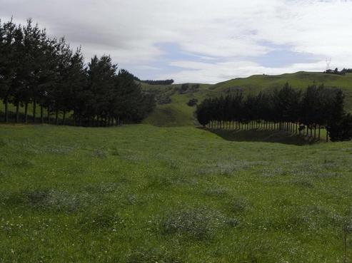 1407 Waikite Valley Road, Ngakuru