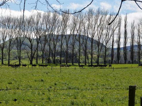 874 Waikite Valley Road, Waikite Valley
