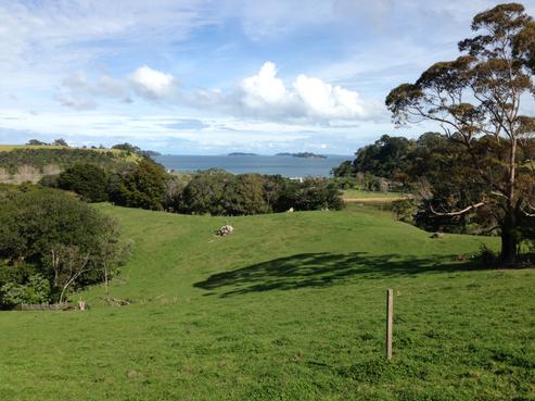 921B Takatu Road, Tawharanui Peninsula