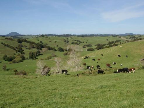 2767B State Highway 14, Tangiteroria