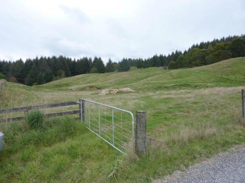 45 Holyoakes Road, Kinloch