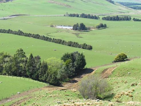 1280 Old Coach Road, Gore Surrounds