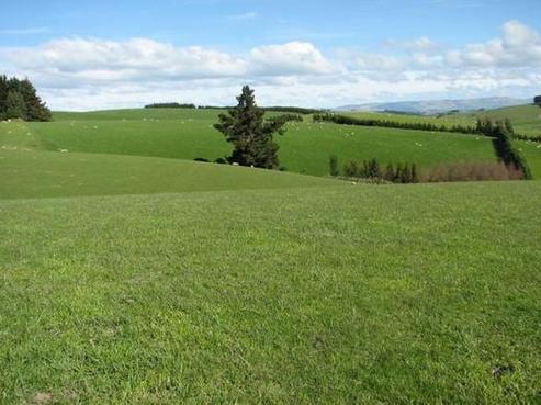394 Cairn Road, Waitahuna