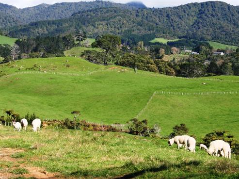 54G Chard Road, Aongatete