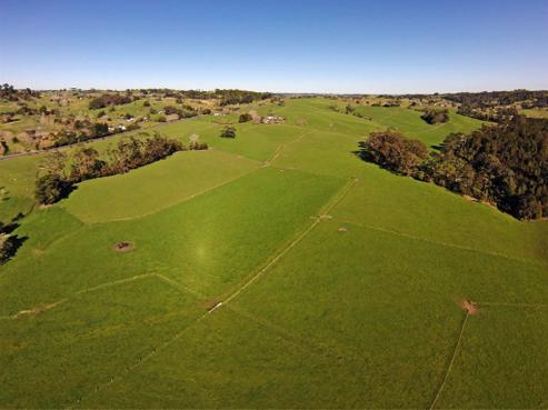 468 Pine Valley Road, Dairy Flat