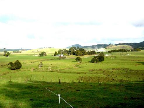 517 Tara Road, Mangawhai