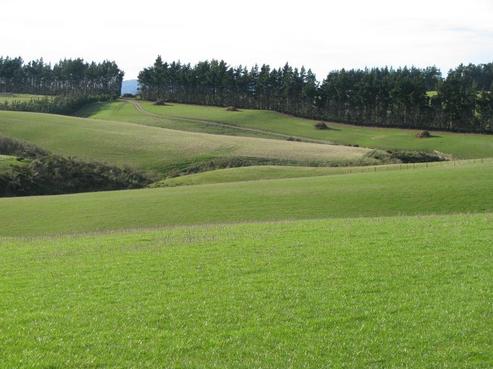 1535 George King Memorial Drive, East Otago