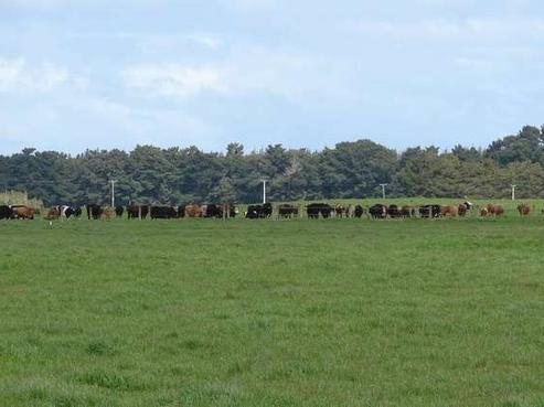488 Lawson Road, Awarua