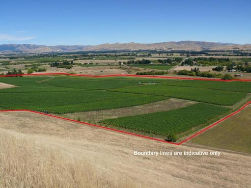 376 Omihi Road, Waipara