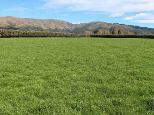 869 Waimate Hunter Road, Makikihi
