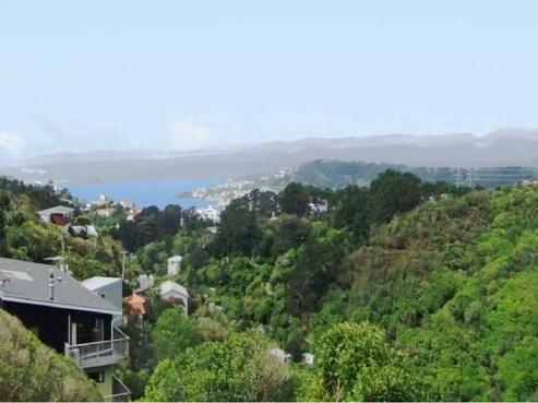 59 Mount Pleasant Road, Aro Valley