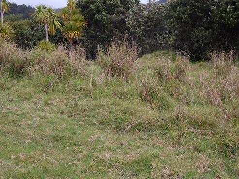1 Oruawharo Lane, Great Barrier Island