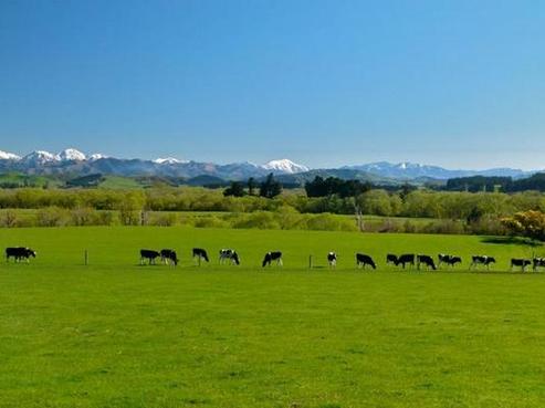 395 Waiau East Road, Cheviot