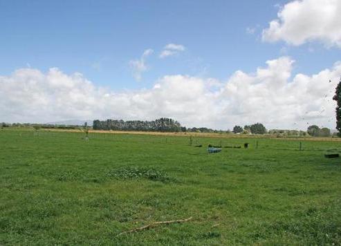 650 Kaipaki Road, Ohaupo