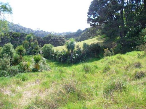 46 Landing Road, Titirangi