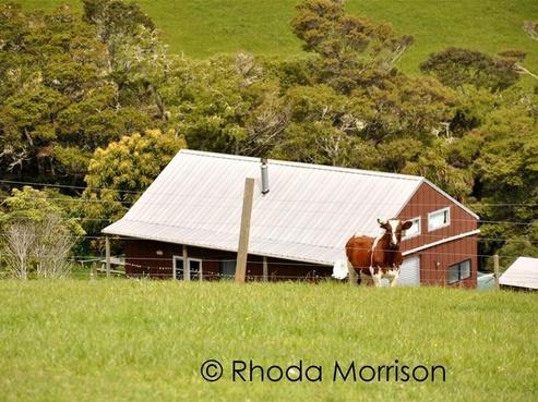 97 Petley Road, Paparoa