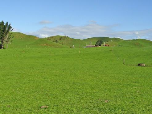 8 Bushview Place, Upper Vogeltown