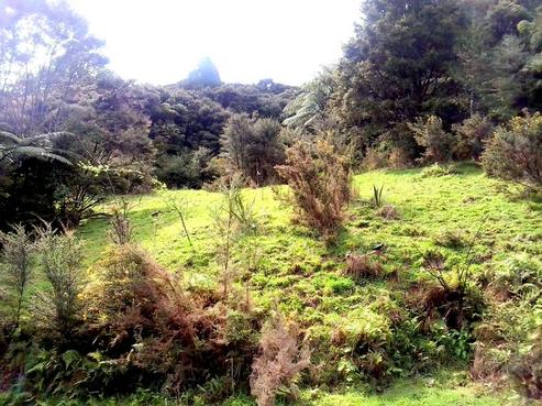 2005 Diggers Valley Road, Kaitaia