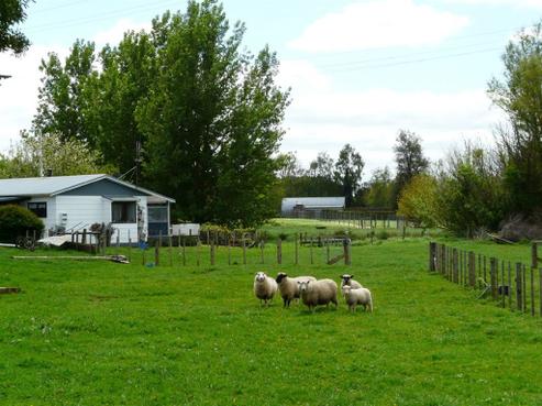 287 Mangawhero Road, Otorohanga