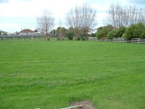 3 Saleyard Close, Marton