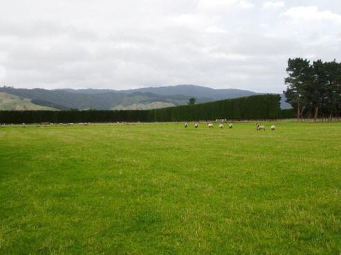 277 Otaki Gorge Road, Otaki