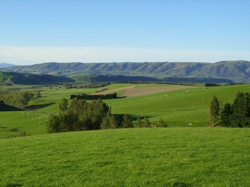 20 Hamiltons Road, Maungati