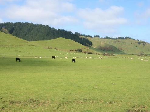 1023 Toko Road, Douglas