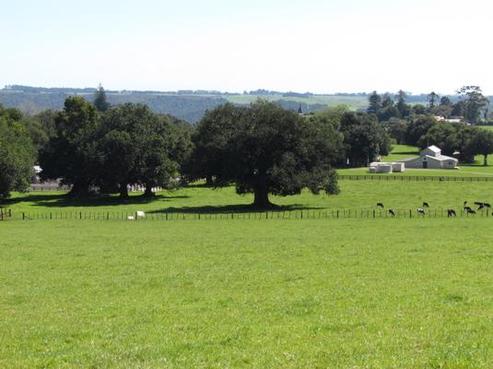184 Showground Road, Waimate North